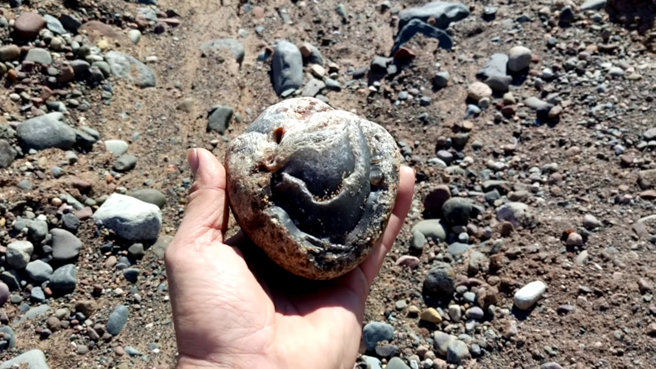 Huge Lake Superior Peeler Agate Find while agate hunting in MN YouTube