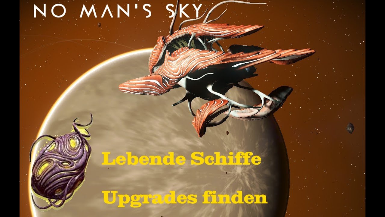 Ist Die Portaladresse Für Das Lebende Schiff No Man's Sky Jedes Mal Eine Andere LEBENDE SCHIFFE - UPGRADES FINDEN- NO MANS SKY - YouTube
