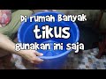 Perangkap Tikus Simpel banget Dengan Ember Bekas