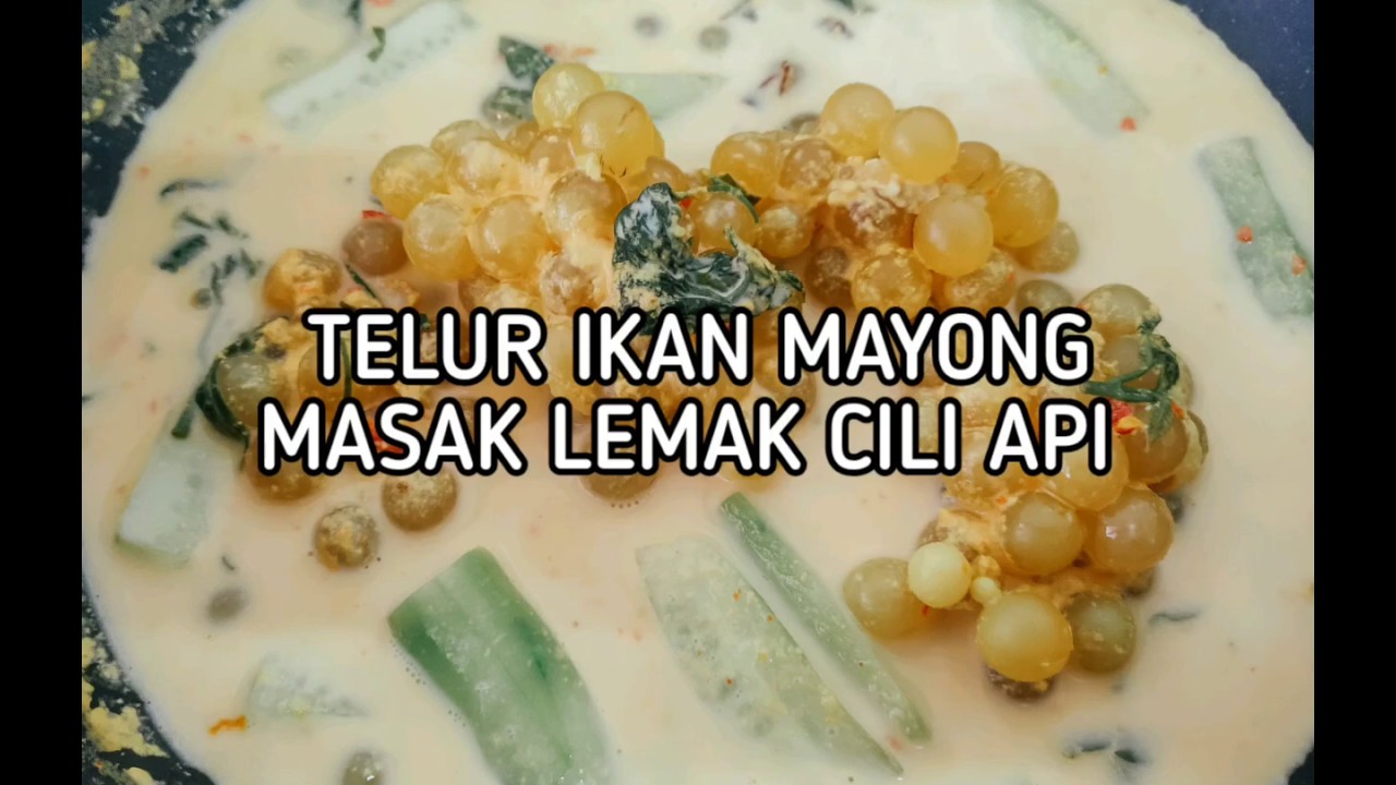 TELUR IKAN MAYONG MASAK LEMAK CILI API - YouTube