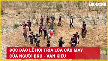 Độc đáo lễ hội trỉa lúa cầu may của người Bru - Vân Kiều | Báo Lao Động