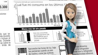 Conozca La Nueva Boleta De Frontel