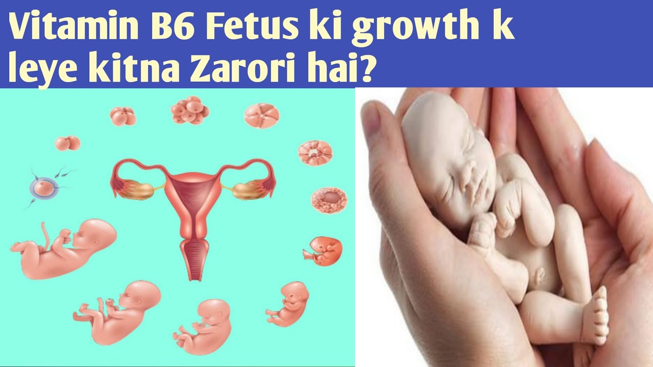 Vitamin B6 bar bar miscarriage rokine k leye kitna Zarori hai??? YouTube