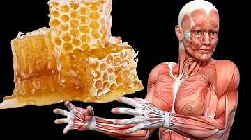 What Happens to Your Body When You Start Eating Honey