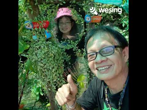 ม่านมงคล(เพลงคู่)อนุรักษ์โดยอภินนท์รักสัตย์/ps.วิดีโอนี้มาจาก WeSing