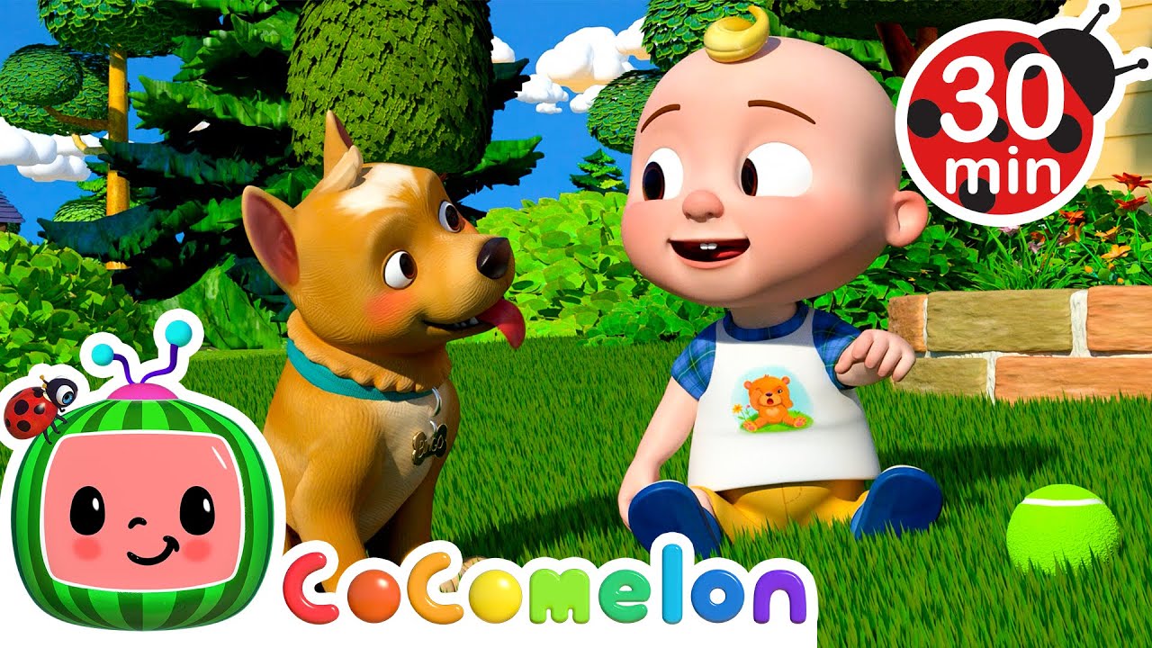 How to Take Care of BINGO | CoComelon Animal Time – Learning with Animals | Nursery Rhymes for Kids