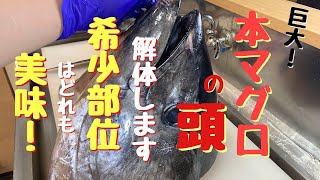 巨大本マグロの頭を解体します、希少部位はどれも美味。