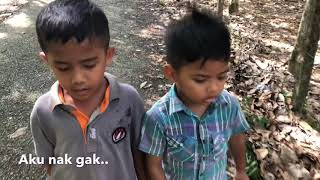 BUDAK KAMPUNG 2 /baling