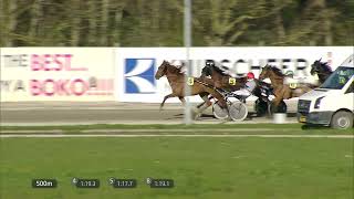 Vidéo de la course PMU PRIX MALAKY FAFA (TF BRONZE CHALLENGE)