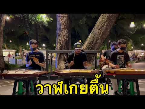 วาฬเกยตื้น (COVER) จาก วงขิม   สุวรรณหงษ์