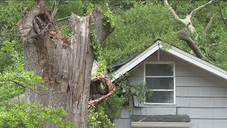 10-year-old killed after tree falls on southwest Atlanta home