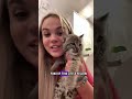 A cat turns out to be more than expected animals shortsanimalshorts