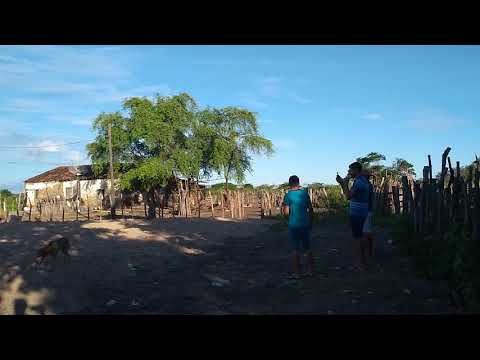 Mathias Cunha se preparando para correr vaquejada na Fazenda Veneza em jaguaretama 22/04/2019 2