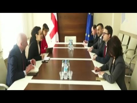 შეხვედრა უკრაინის პრეზიდენტის წარმომადგენელთან