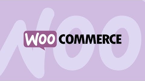 A Beginner’s Guide to Using WooCommerce: Introduction