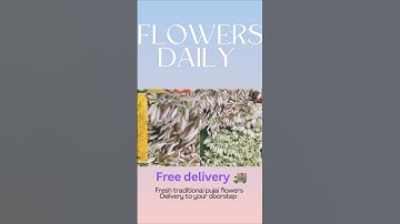 flowers delivery 🚚 chennai #song #music #shorts #shortsviral #viralshorts #flowers #doordelivery