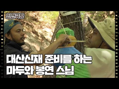 [봉연 스님의 행복한 수행] (8/15) [인간극장/Screening Humanity] | KBS 260527 방송