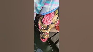 Cá Tra Mỹ Hòa Hưng Long Xuyên