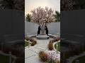 From Bare Dirt to a Luxury Backyard Oasis 🌿 | Satisfying Before & After #usa #unitedstates #america