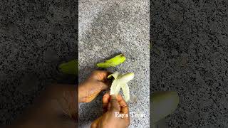 Easy baby puree idea | Baby first puree Wealth