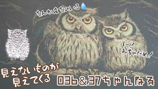 【番外編160】036&37ちゃんねる：完全オフモード。まったり、ダラダラ、とりとめなく。夕方、一杯やりながらお気楽に。イメージは「深夜ラジオ風」。不動産投資の話とかはしません。