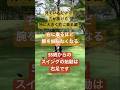 楽に飛距離を伸ばすなら右足始動が一番です#本物レッスン #65歳280ヤード #神シニアスイング#増田哲仁 #golfingスタジオ #tenswing #脱力スイング #神田ゴルフ#エージシュート