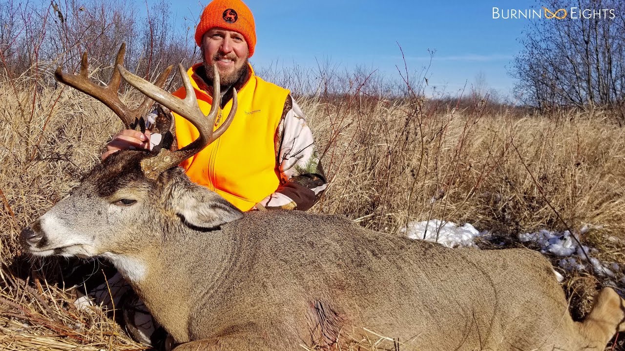 Wisconsin Gun Deer Hunt The Chase For A Mature Public Land Buck YouTube