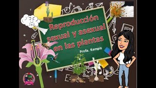 Reproducción sexual y  asexual de las plantas (polinización)