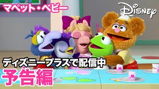 マペット・ベビー／予告編｜ディズニープラス