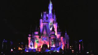 Disney Villains Mix And Mingle At The Magic Kingdom Night 2014