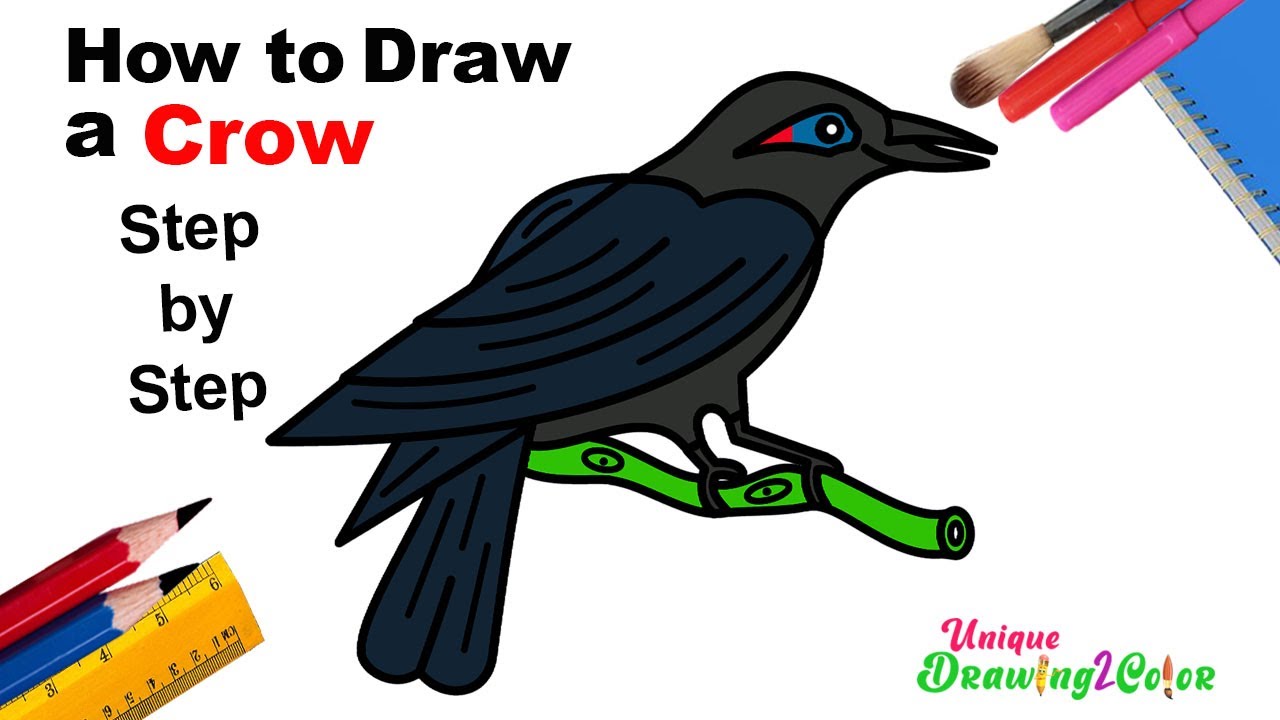 How to Draw A Crow – A Step by Step Guide | Crows drawing, Crow painting,  Crow