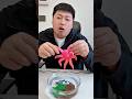 3 Small Toys for 1 Big Octopus—GOOD TRADE? 🤔🐙 | **Surprise Toy Lab