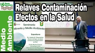 CASO CAIMANES ⛏️ y Valle del Aconcagua relaves y efectos en la SALUD - Dr. Andrei Tchernitchin