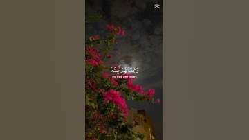 #اكسبلور #قرآن #سورة القصص