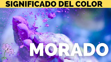 ¿Qué significa un dormitorio morado?