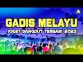 Joget dangdut terbaik 2023  gadis melayu   eriick nillano remix 