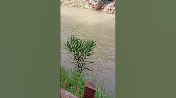 اكسبلور الجيلي Automobile العريفي Satisfying الورقات رجعوني Travel القرميد Nature 
