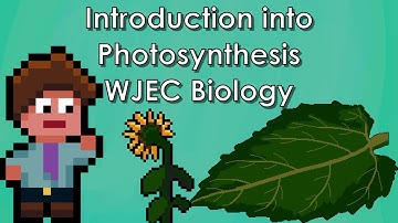 Photosynthesis and What Plants Use Glucose For - WJEC/AQA Biology - (GCSE REVISION)
