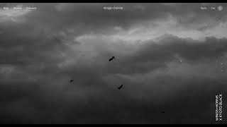 Fashion Concept Slider