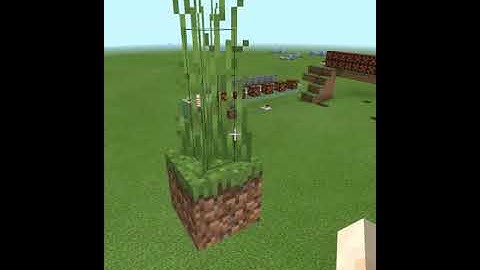 #shorts minecraft grass block in real life / dirt in real life