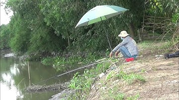 câu cá suối thiên nhiên hai anh em lên cá đã tay