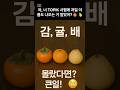 TOPIK 필수단어 #31 - 감, 귤, 배 (과일) 시험에 꼭 나와!🍊🍐