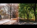 USAMV Bucharest Timelapse August-November