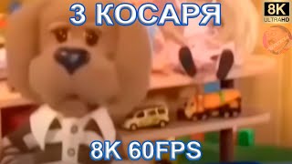 3 Косаря 8K 60Fps🐶🐶🐶