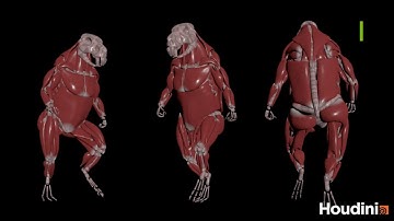 Houdini 20.5 Vellum TissueSim Capybara