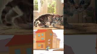 Cartoon Of A Little Kitten  #Kitten #Cutecat #Animation