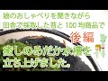 田舎で採取した苔と100均商品で、めだか用小型水槽を立ち上げてみました！100均ってやっぱり便利！【後編】