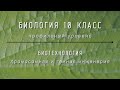 Биология 10 кл Проф уровень §74 Хромосомная и генная инженерия