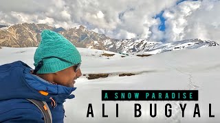 Ali Bugyal - Asia’s Largest Meadows Covered With Snow | Winter Trek | Ali Bedni Bugyal | Uttarakhand