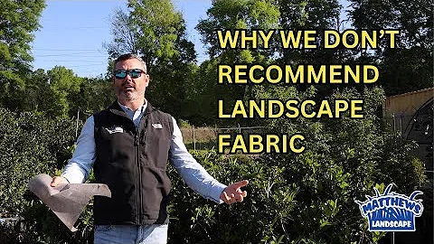 Why We DON'T Recommend Landscape Fabric